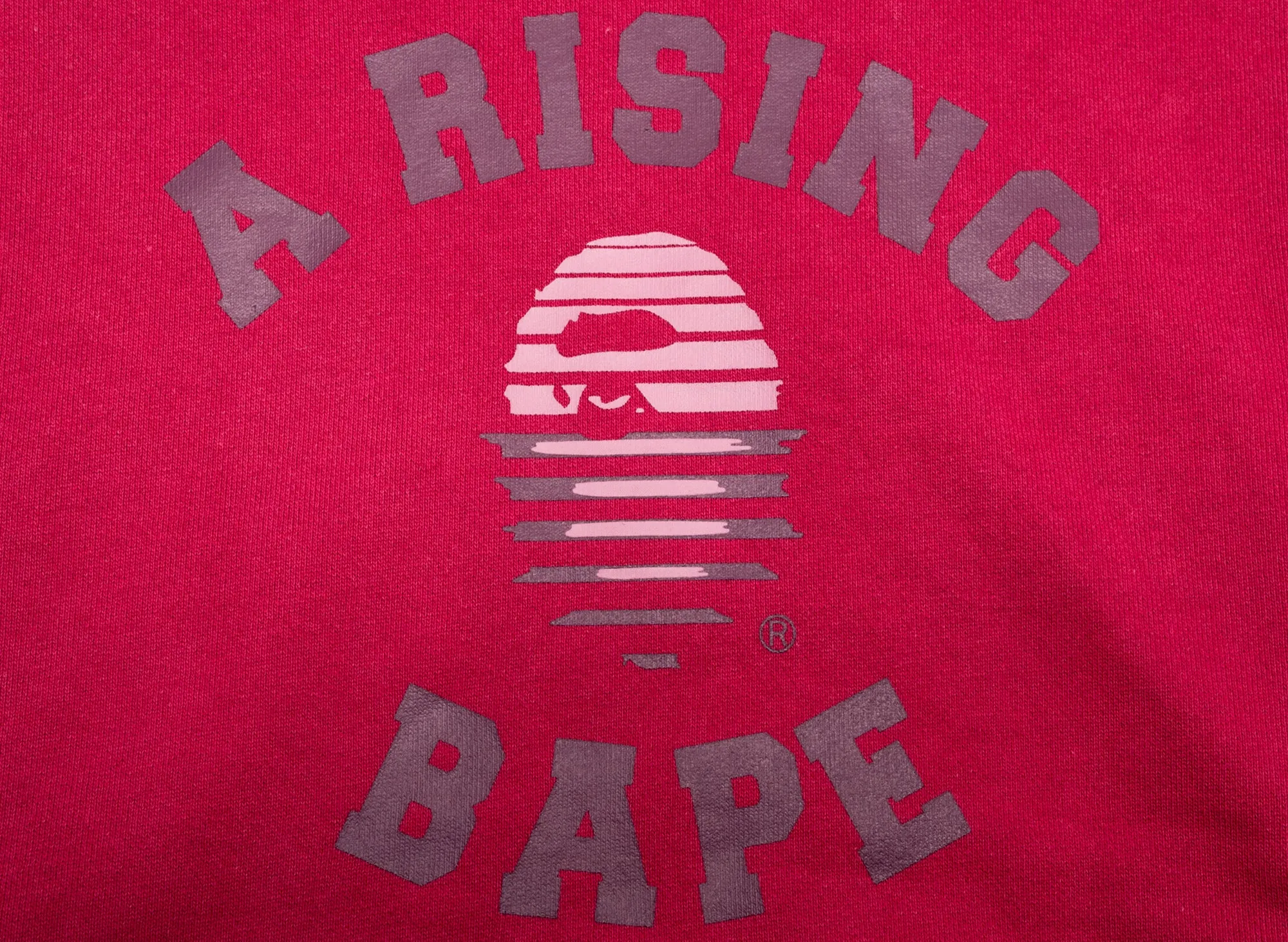 A Bathing Ape A Rising Bape Pullover Hoodie in Purple