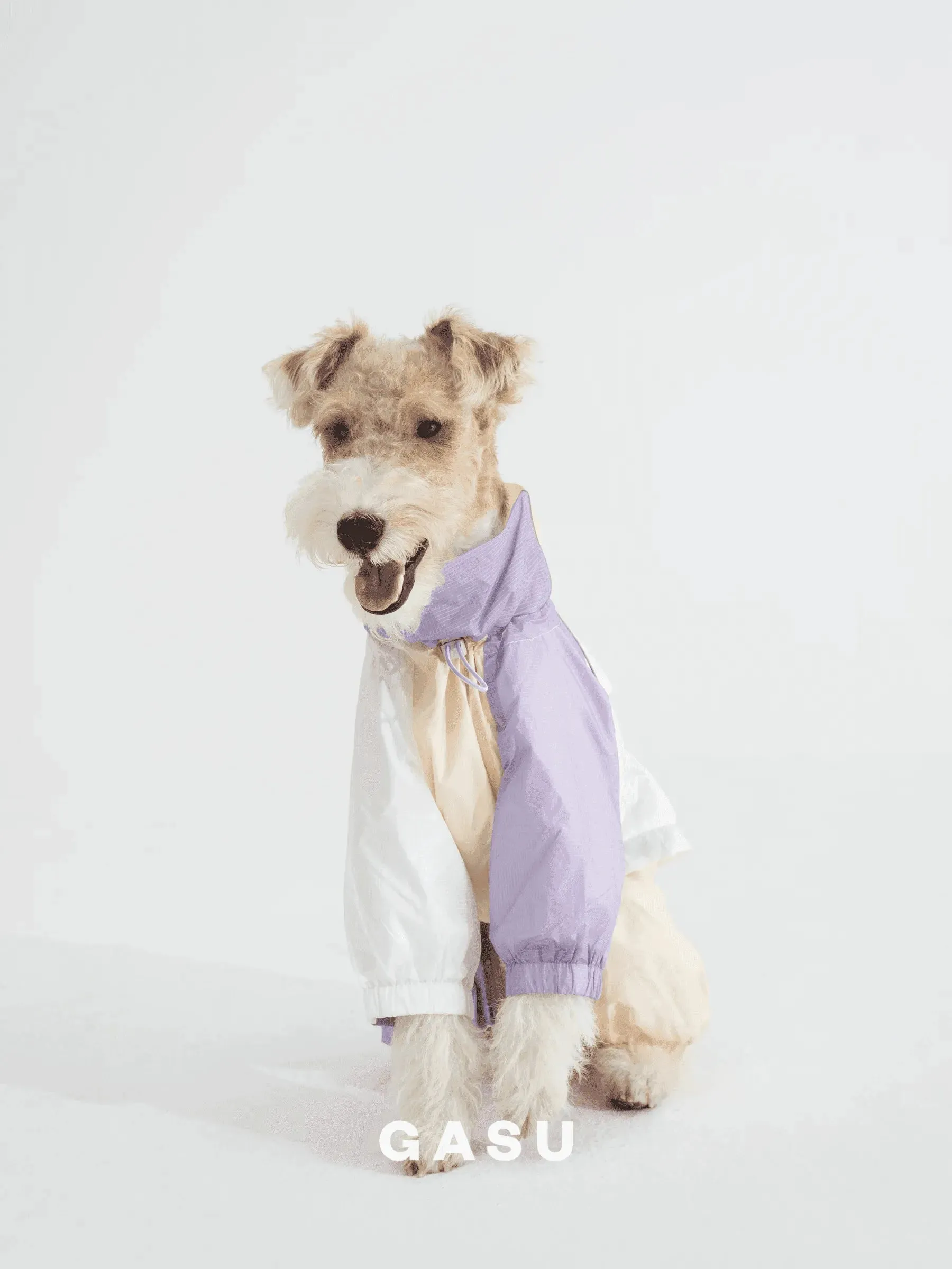 Detachable 4-Leg Dog Raincoat | Cloudy Purple